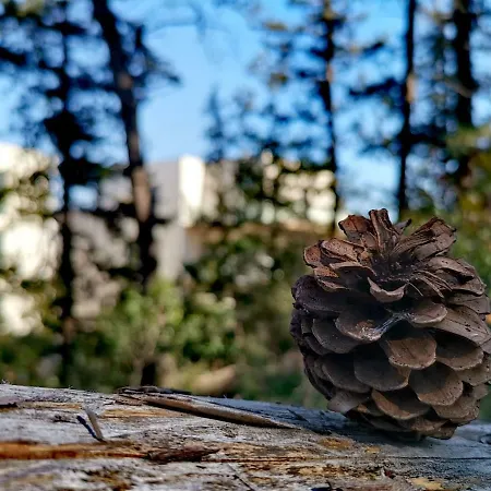 Luxury Marjan - Black アパート *