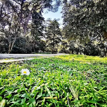 Apartment Luxury Marjan - Black *