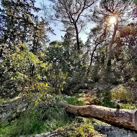 Apartmán Luxury Marjan - Black *